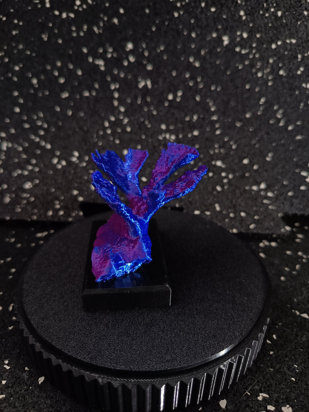 Acropora Palmata — Miniaturowa Rafa Koralowa 3D | Dekoracja Ocean